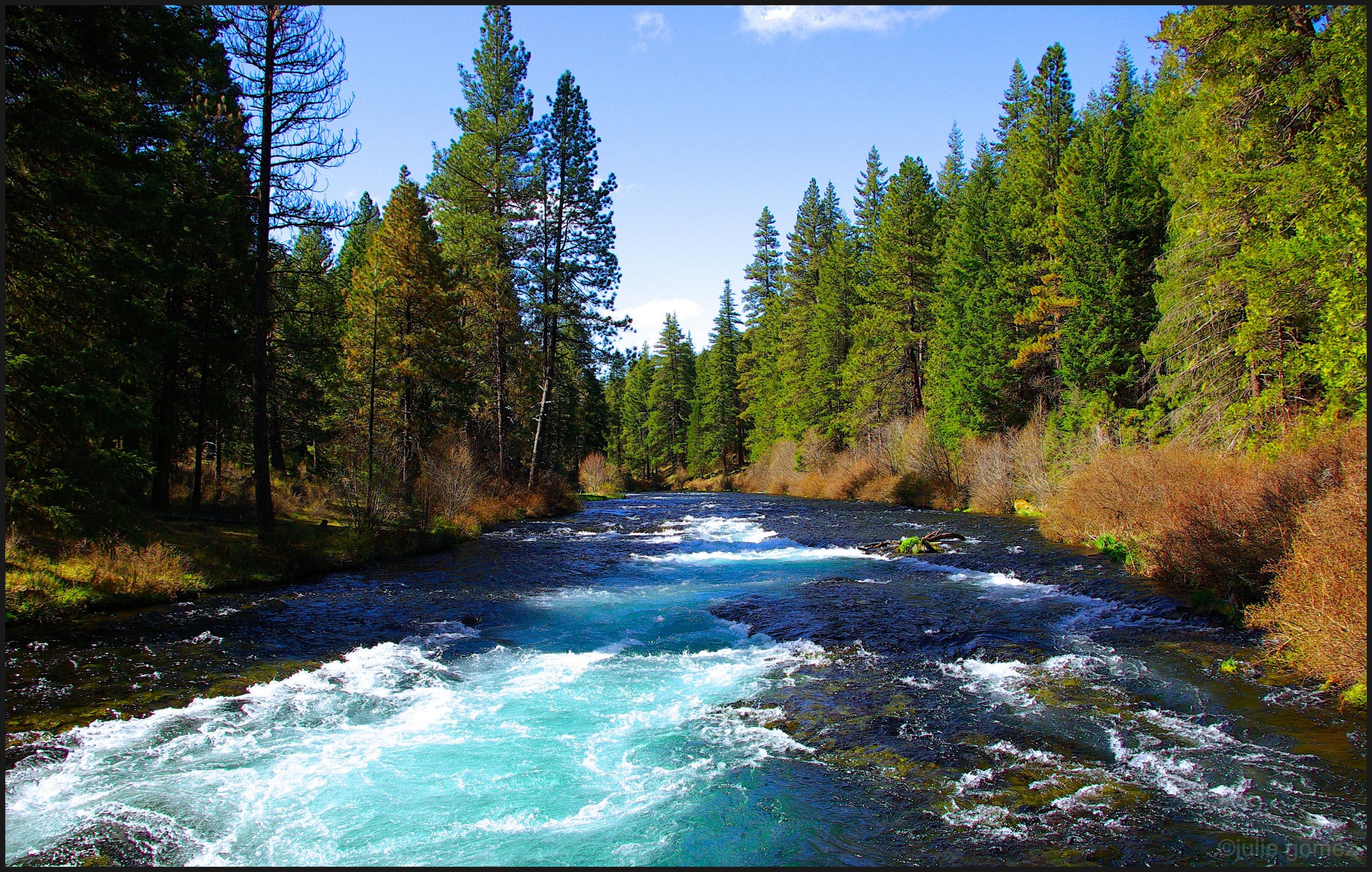 Image result for Metolius river images