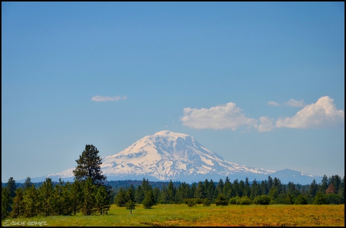 Mount Adams and the plateau of Wahkiacus, Washington. 